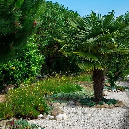 Refugio De Alma Em Flor Quinta Privada Com Piscina نازاريه