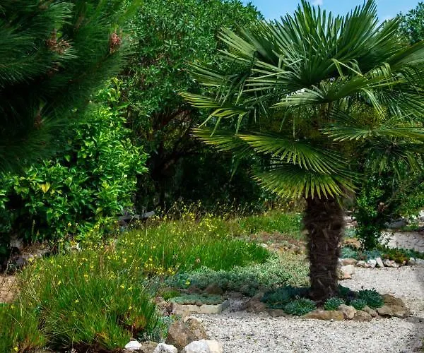 Refugio De Alma Em Flor Quinta Privada Com Piscina Назаре
